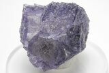 Purple Cubic Fluorite Crystals on Sphalerite - Elmwood Mine #208770-1